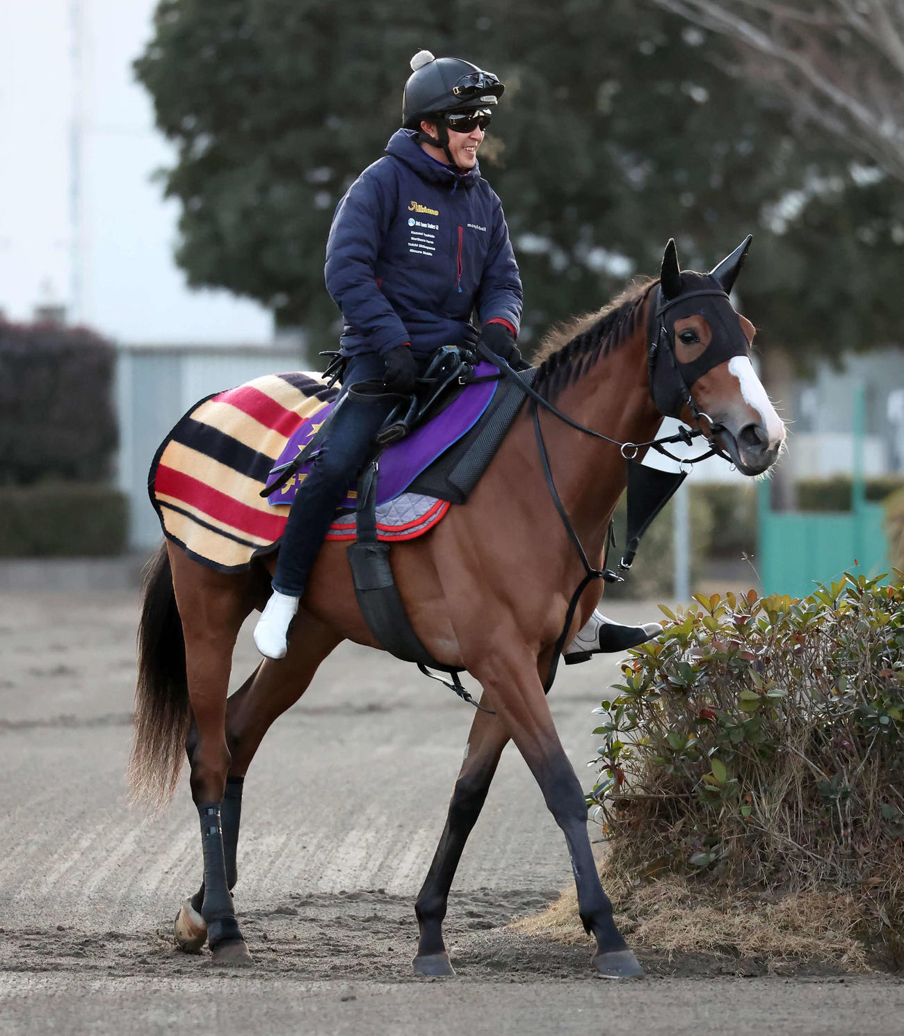 輪乗りをして馬場の開門を待つチェルヴィニア（撮影・丹羽敏通）