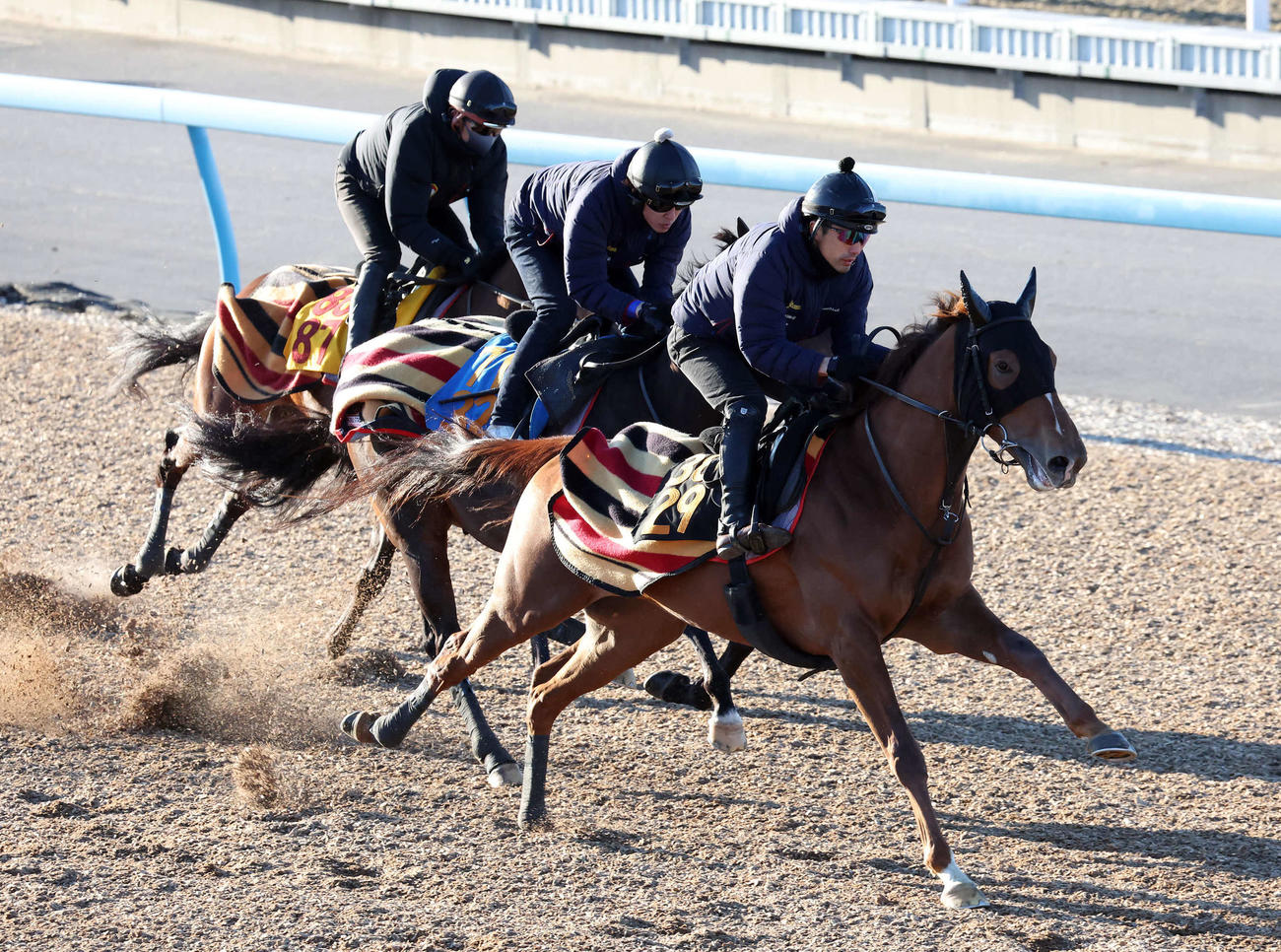 レッドキングリー（手前）は美浦ウッドを3頭併せで追い切られた（撮影・丹羽敏通）