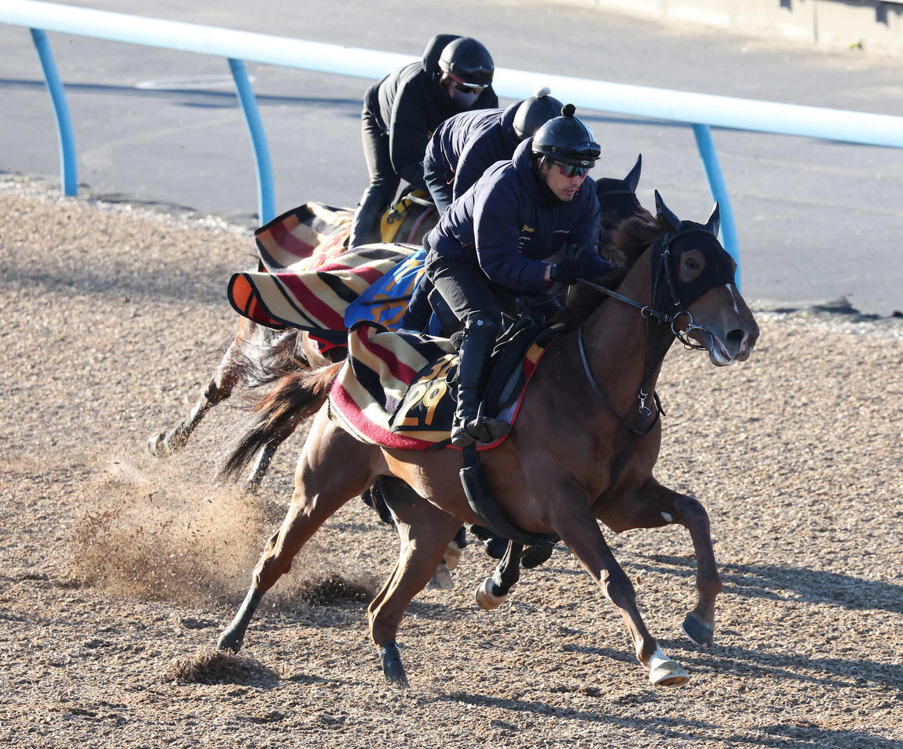 レッドキングリー（手前）は美浦ウッドを3頭併せで追い切られた（撮影・丹羽敏通）