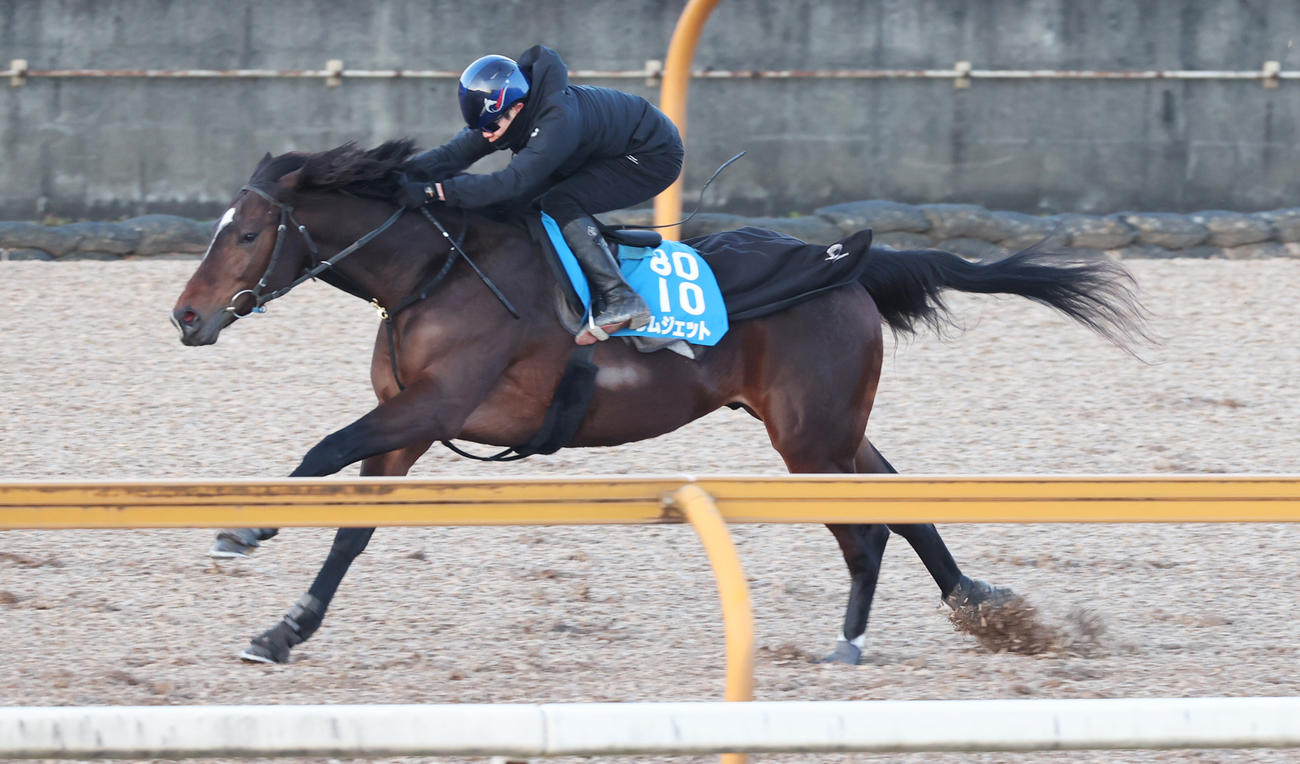 三浦騎手を背に追い切るラムジェット