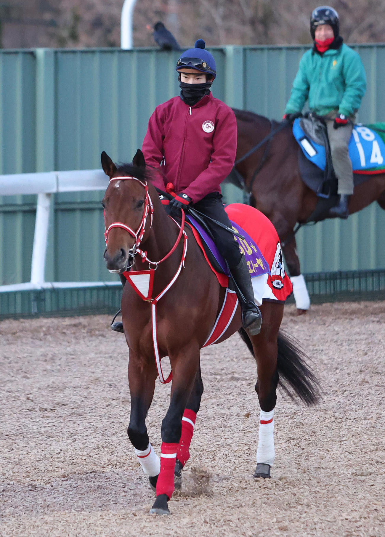 坂井騎手を背に角馬場で運動するフォーエバーヤング（撮影・白石智彦）