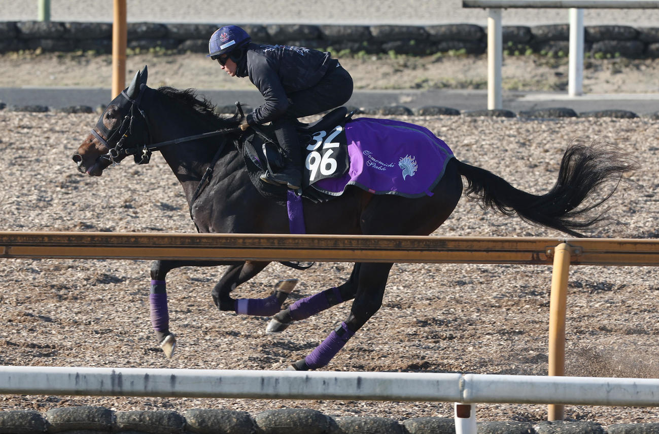 川田騎手を背にCWコースで追い切るショウヘイ