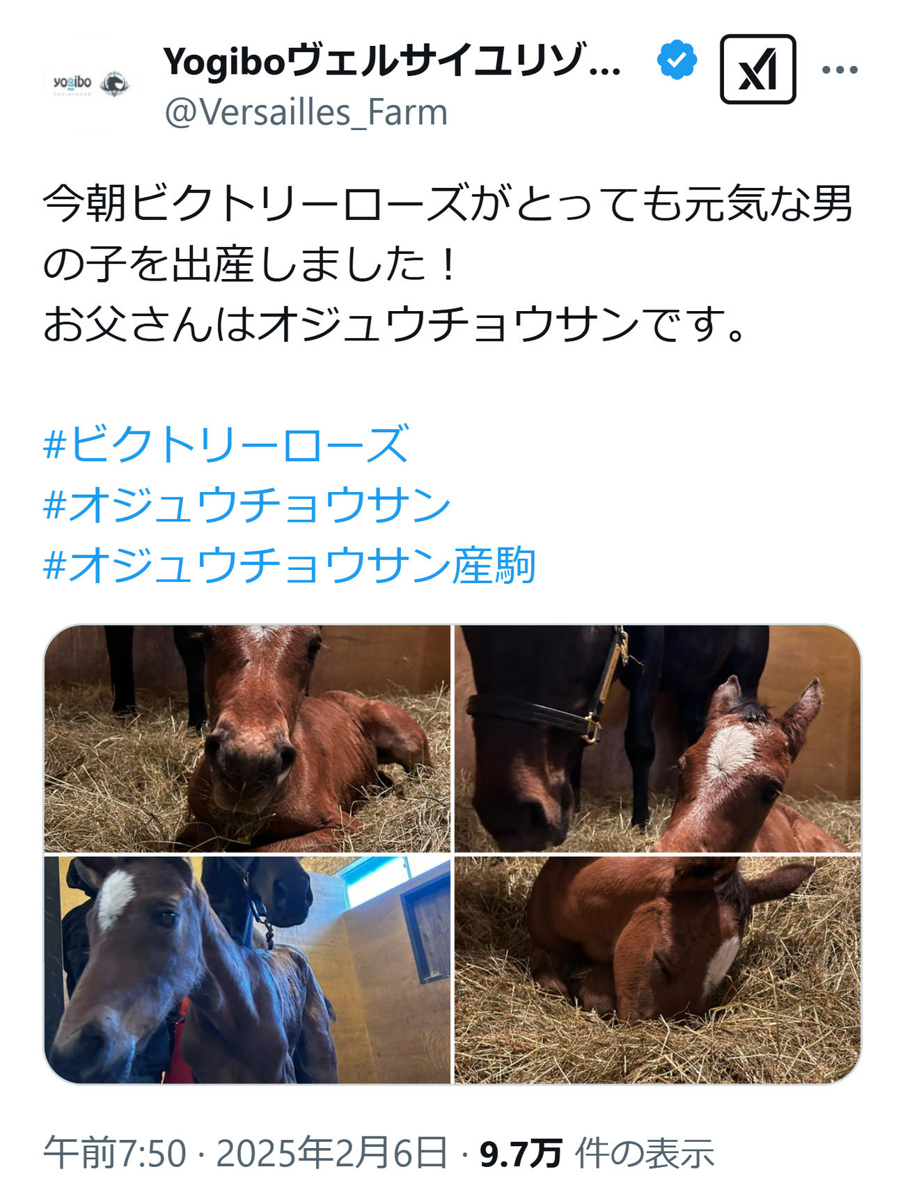 ヴェルサイユリゾートファームのXから