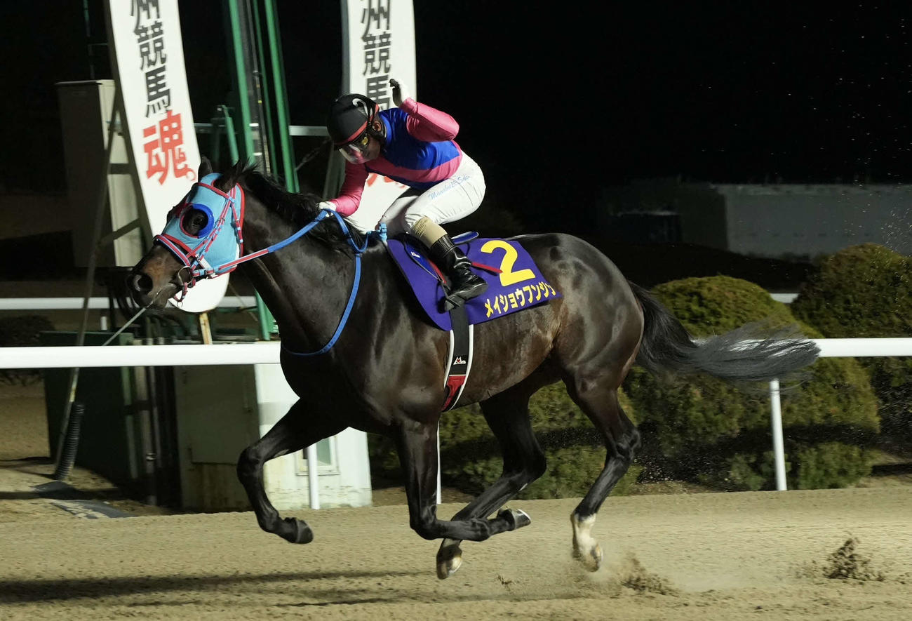 佐賀記念を初制覇したメイショウフンジン（佐賀競馬提供）