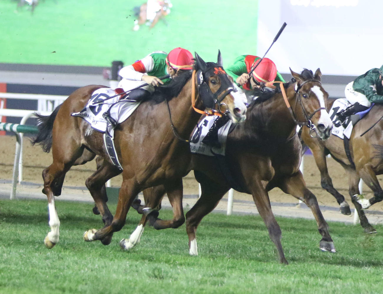 24年ドバイターフを制したファクトゥールシュヴァル（右）。左は2着ナミュール