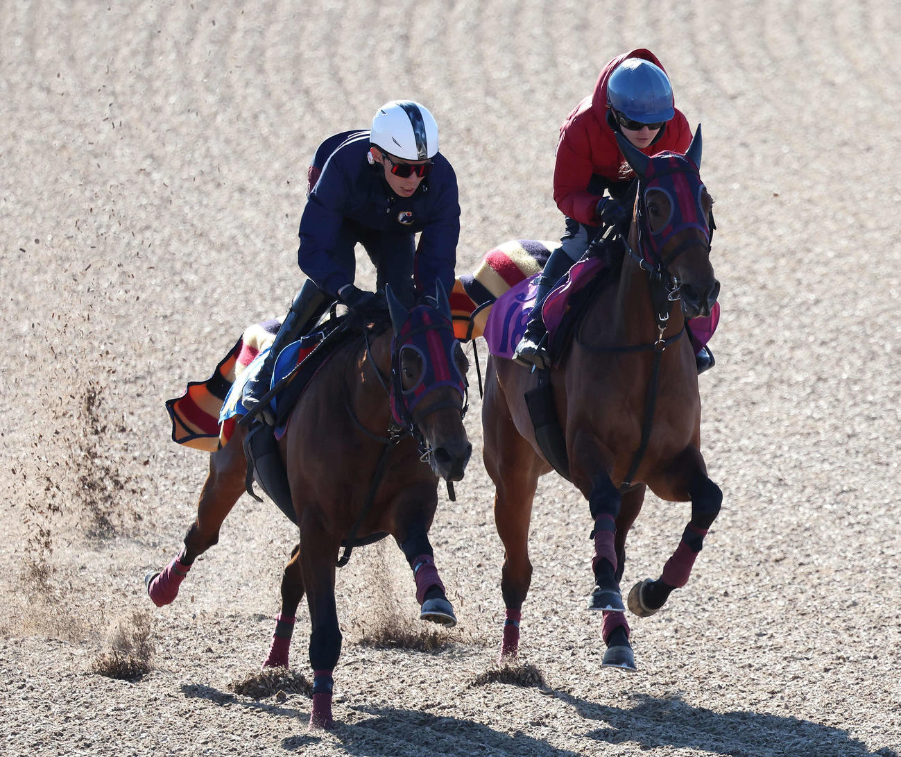 エンブロイダリー（右）は小林凌騎手を背に美浦ウッドでダノンアーリーと併せて追い切られた