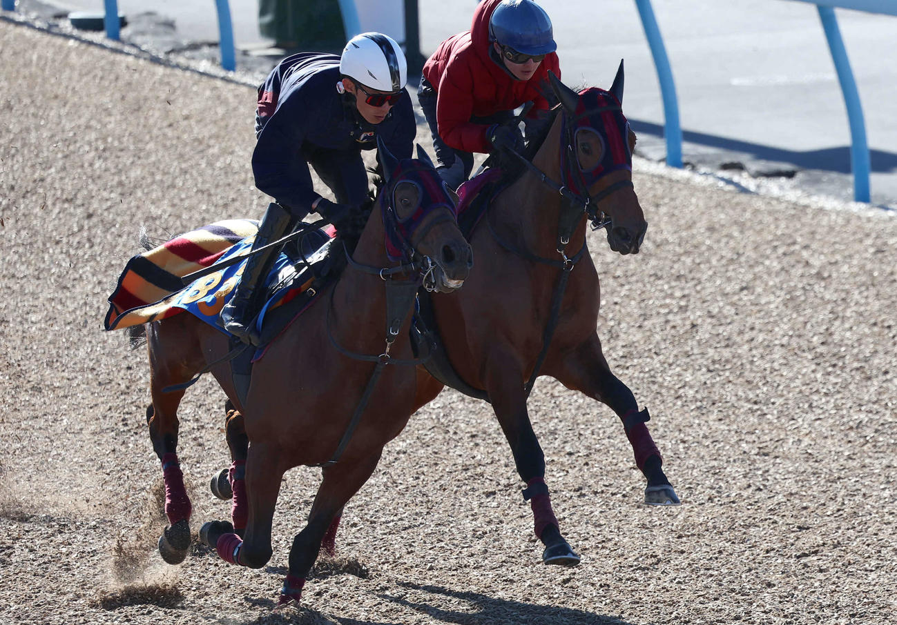エンブロイダリー（右）は小林凌騎手を背に美浦ウッドでダノンアーリーと併せて追い切られた
