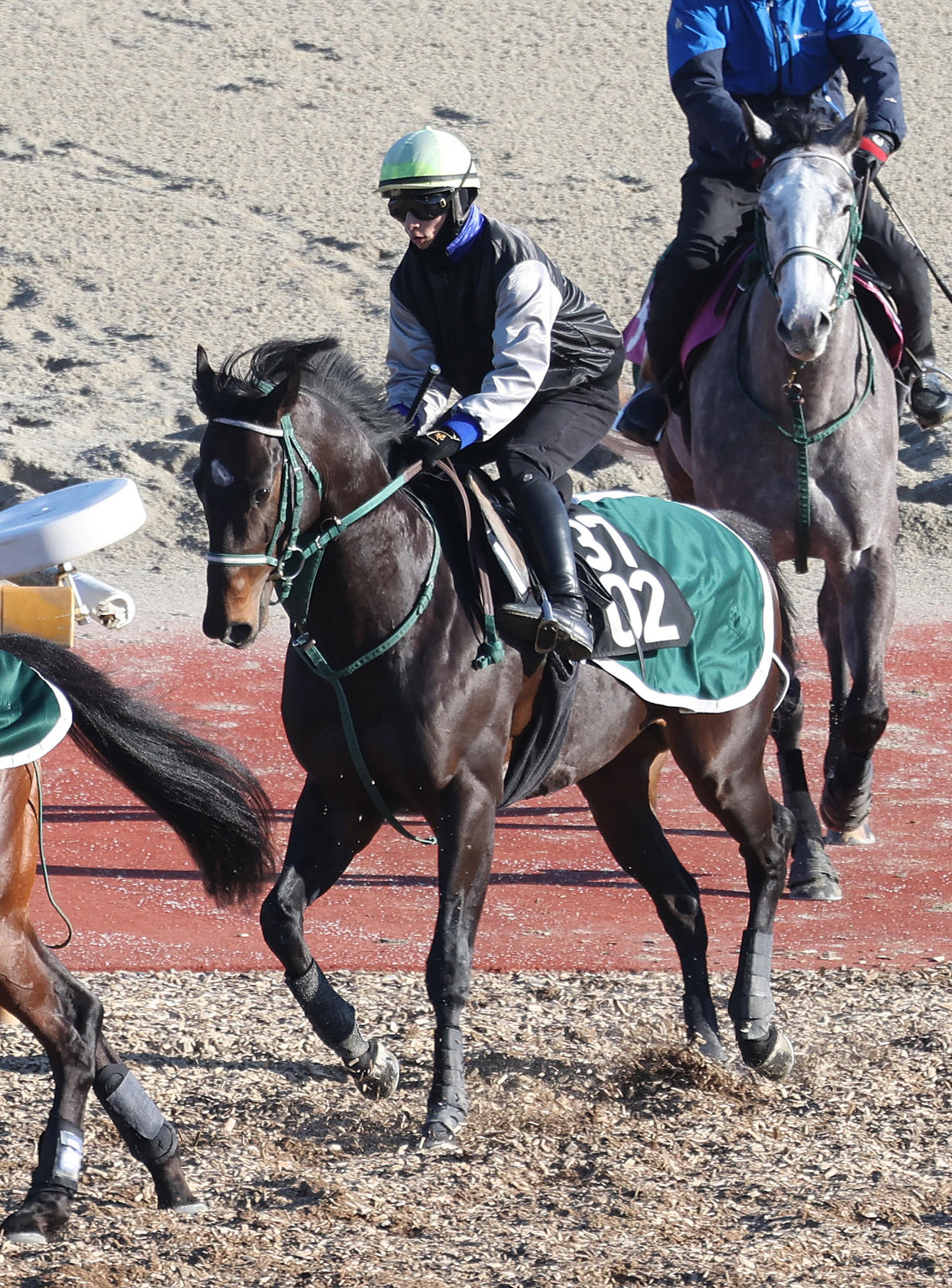5日、吉村誠之助騎手を背に馬場入りするランスオブカオス