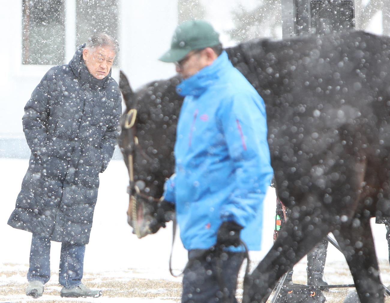 周回するタイトルホルダーを見つめる岡田牧雄氏（撮影・奥村晶治）