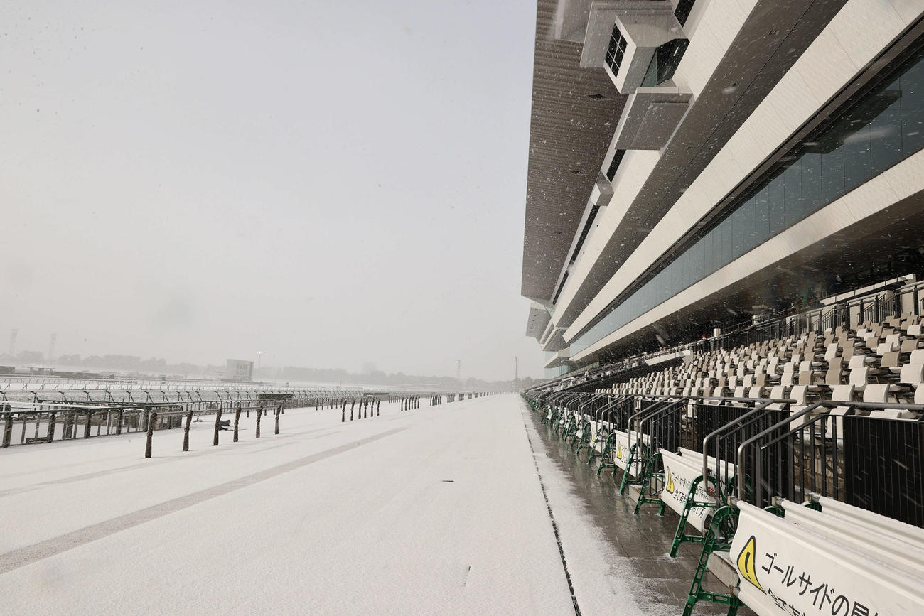 京都競馬は雪のため中止。競馬場は一面の銀世界となった（撮影・西尾就之）