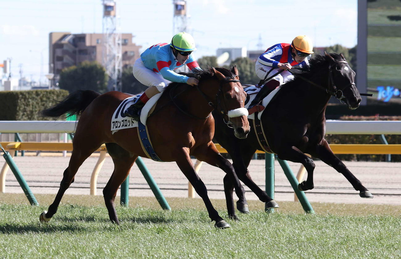 東京6R、3歳未勝利戦を制したアロンズロッドとルメール騎手（撮影・丹羽敏通）