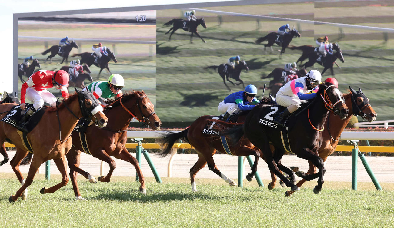 春菜賞を制したキョウエイボニータと松岡騎手（右から2頭目）（撮影・丹羽敏通）