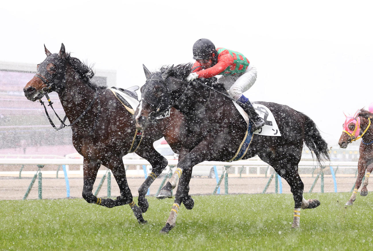 小倉5R、障害4歳以上未勝利を制したウン（右）（撮影・白石智彦）
