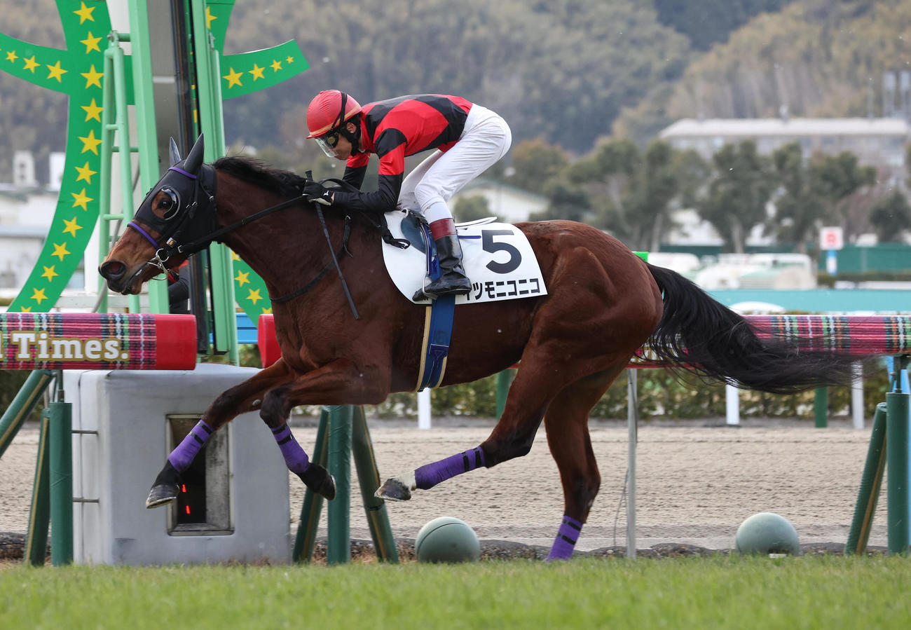 小倉12R、4歳以上1勝クラスを制したイツモニコニコ（撮影・白石智彦）