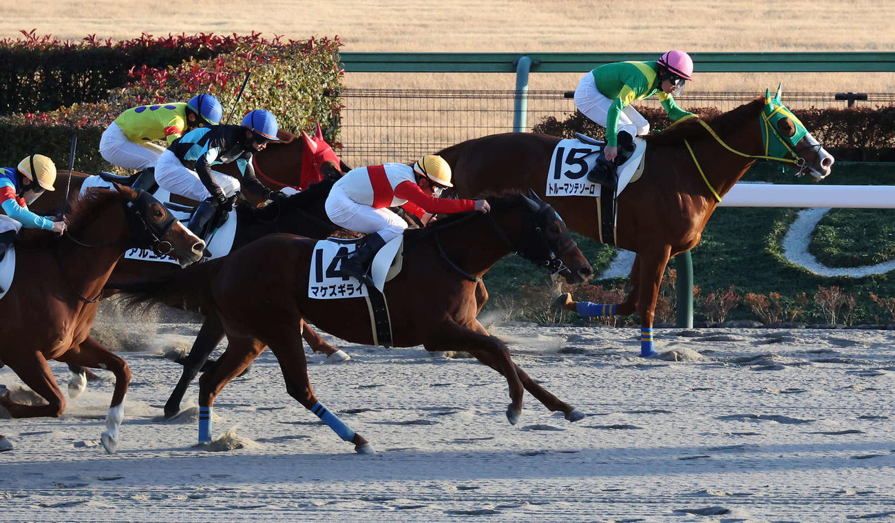東京12R、4歳上1勝クラスを制したマケズギライと戸崎騎手（手前）（撮影・丹羽敏通）