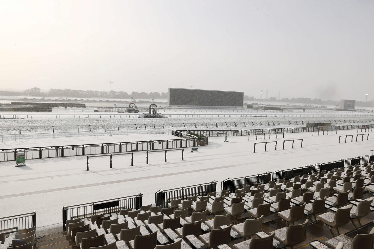京都競馬は雪のため中止。競馬場は一面の銀世界となった（撮影・西尾就之）