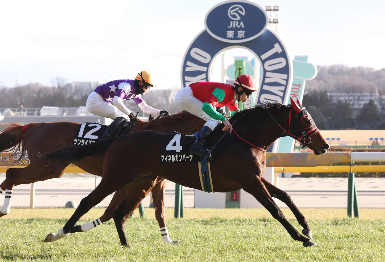 東京11R、早春Sを制したマイネルカンパーナと津村騎手（撮影・丹羽敏通）