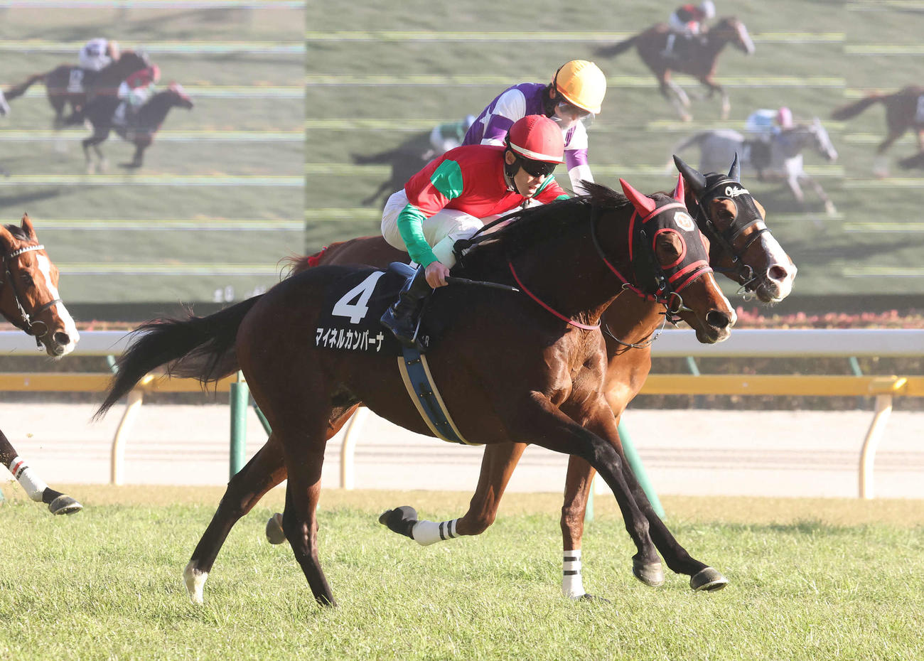 東京11R、早春Sを制したマイネルカンパーナと津村騎手（手前）。奥は2着サンライズアース（撮影・丹羽敏通）