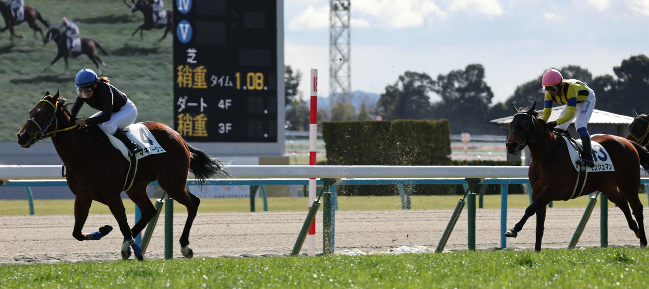 京都8R、4歳以上2勝クラスで小林美騎手騎乗のマキアージュ（左）が直線抜け出して勝利（撮影・西尾就之）