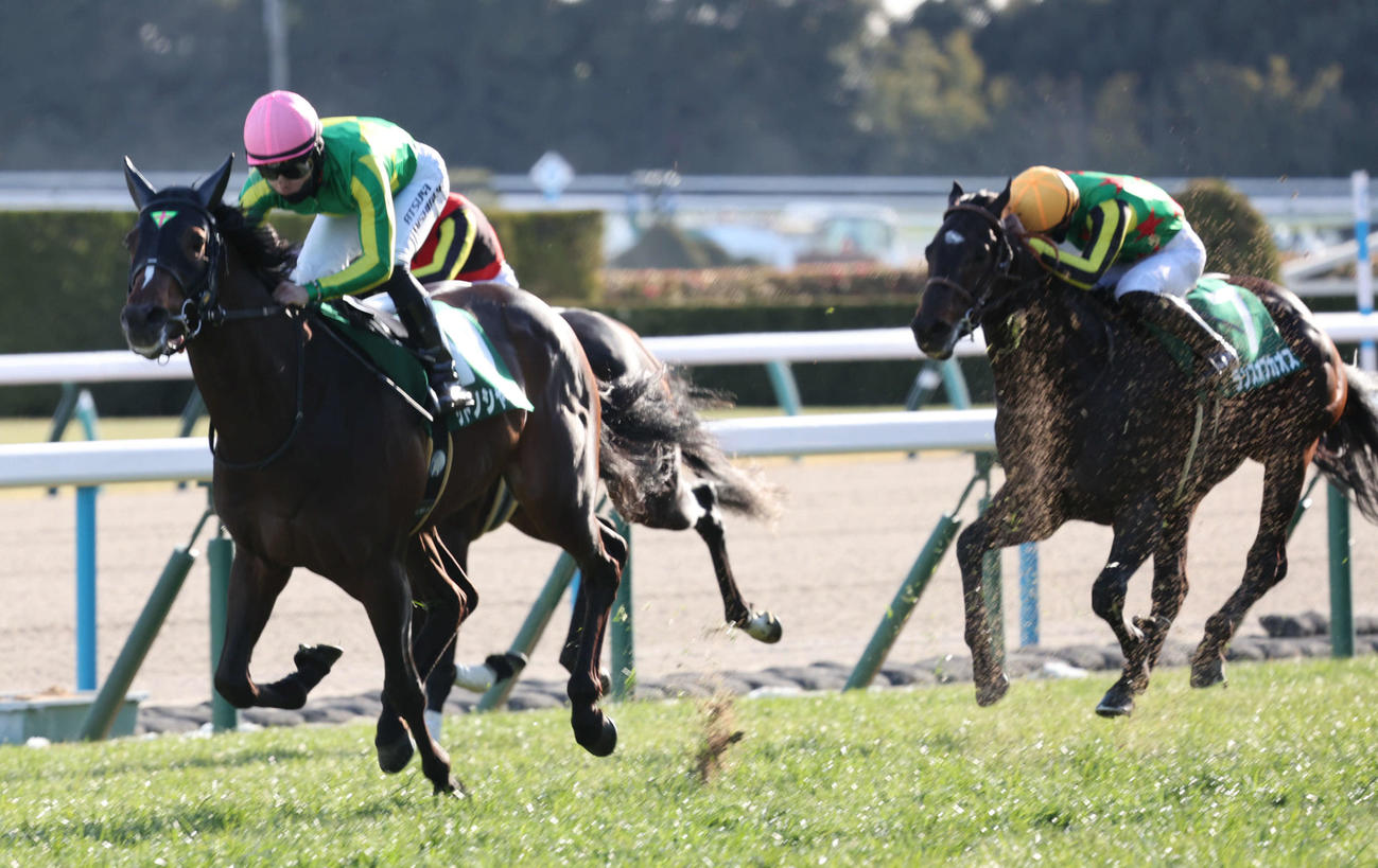直線で抜け出しきさらぎ賞を制したサトノシャイニングと西村淳騎手（左）。右は3着のランスオブカオス