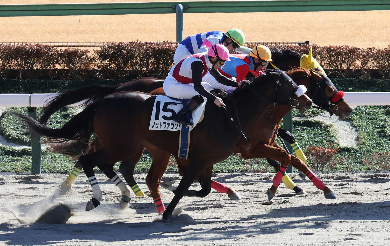 東京8Rを制したアンシールと武豊騎手（中央）。手前は2着ノットファウンド、奥は3着モンドプリューム