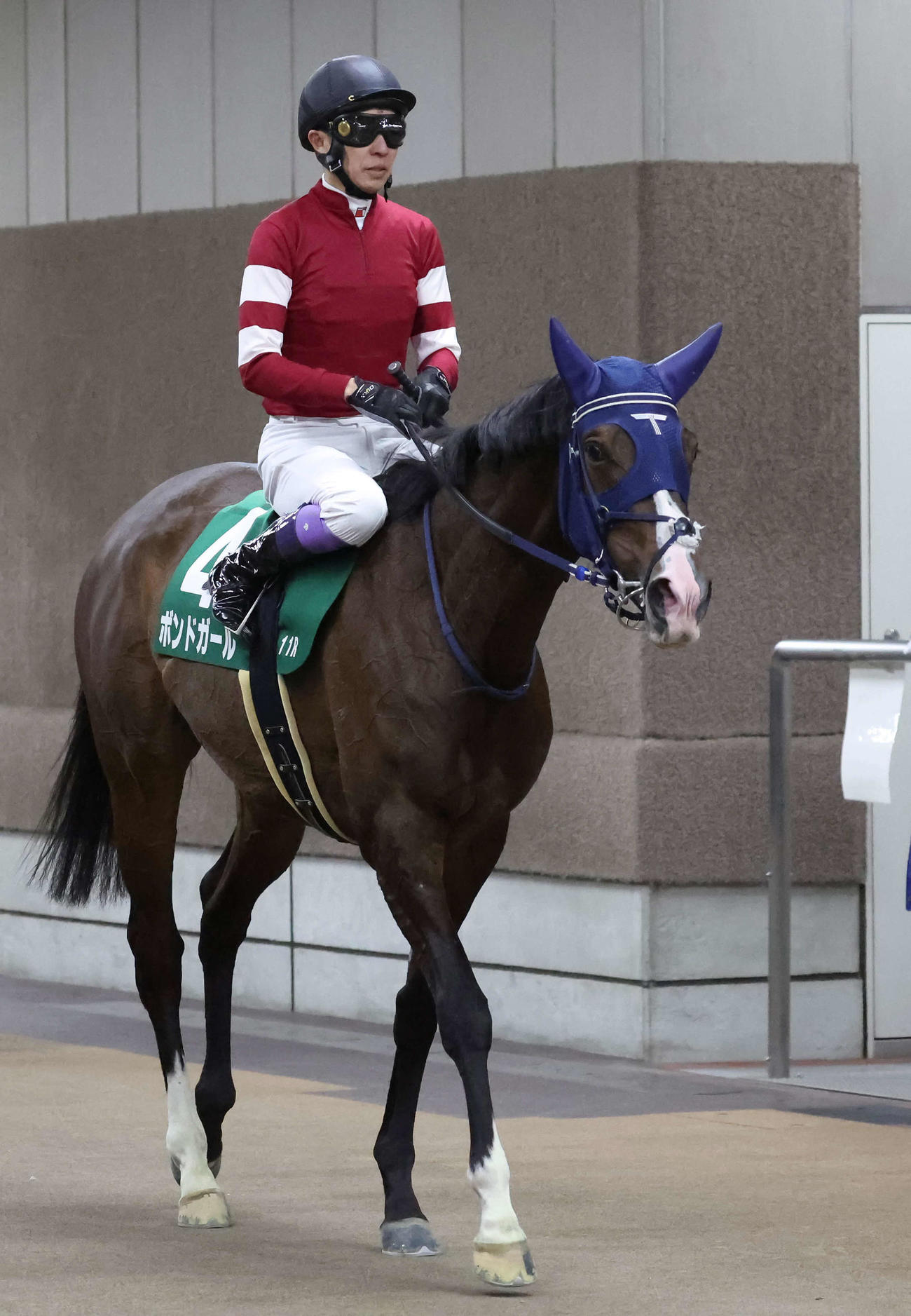 東京新聞杯で2着になったボンドガールと武豊騎手（撮影・丹羽敏通）