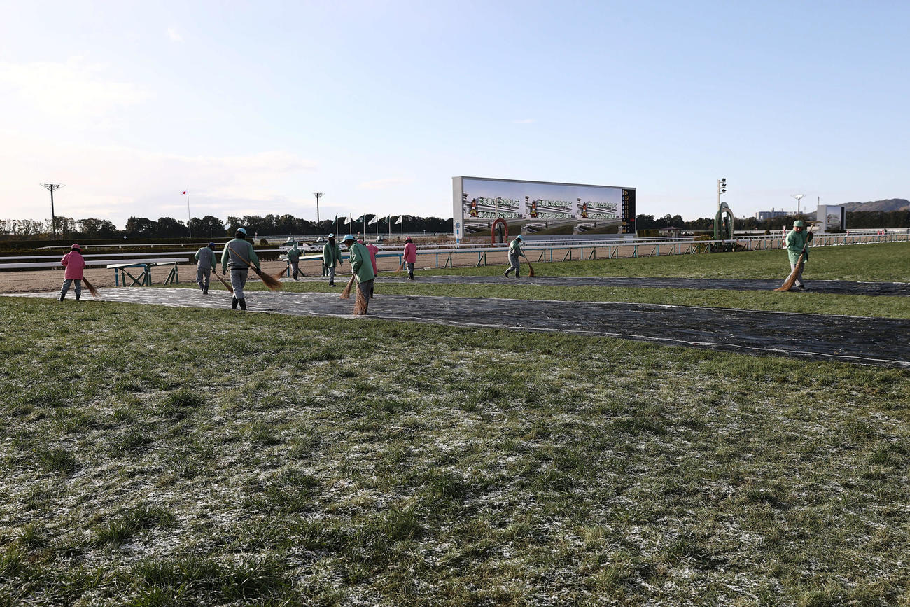 前日、雪で中止となった京都競馬場だが、雪は溶けコース整備が行われた（撮影・西尾就之）