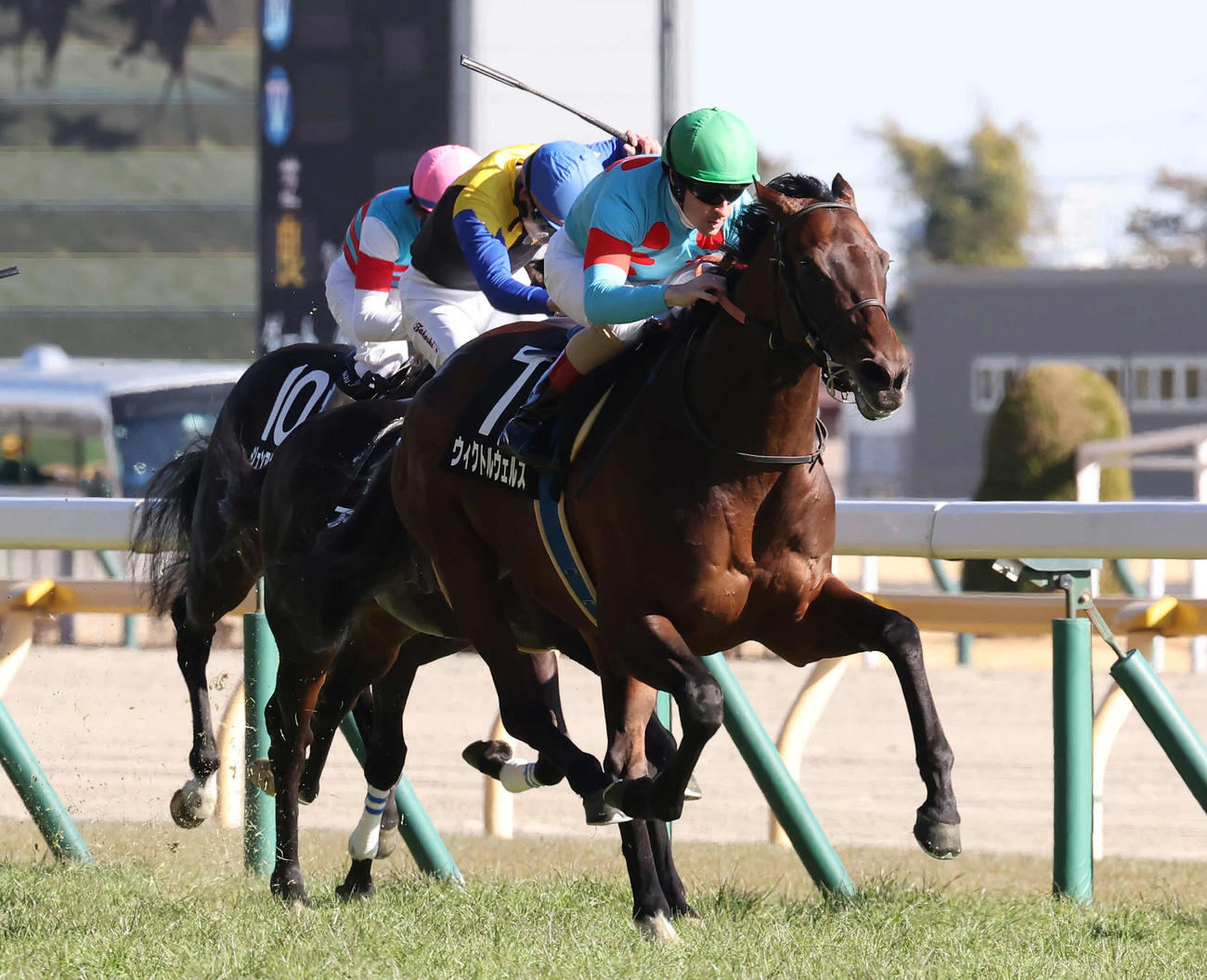 東京9R、ゆりかもめ賞を制したウィクトルウェルスとルメール騎手（撮影・丹羽敏通）