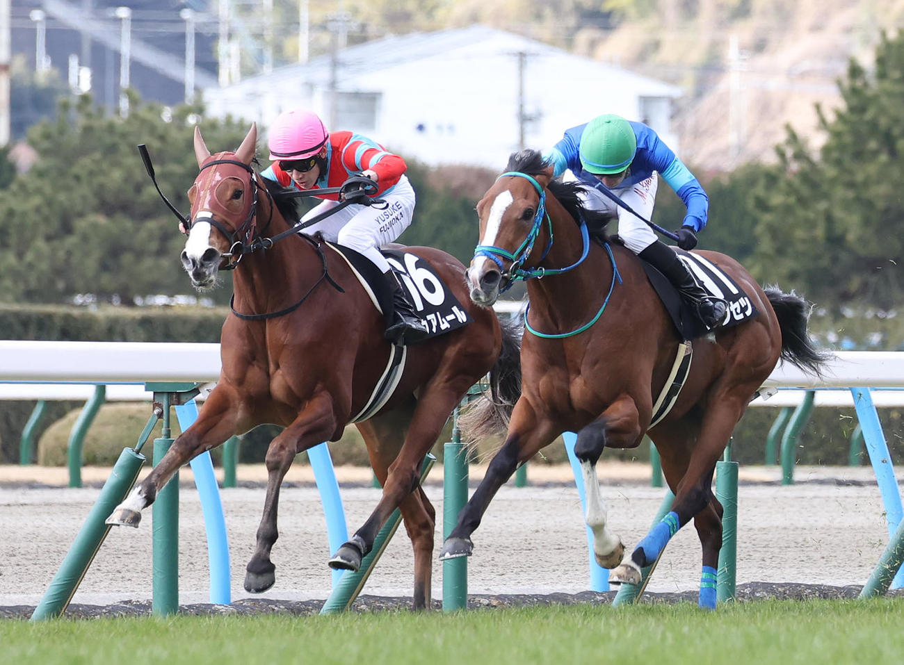 小倉9R、逃げ切ってかささぎ賞を制したドゥアムール（左）（撮影・白石智彦）
