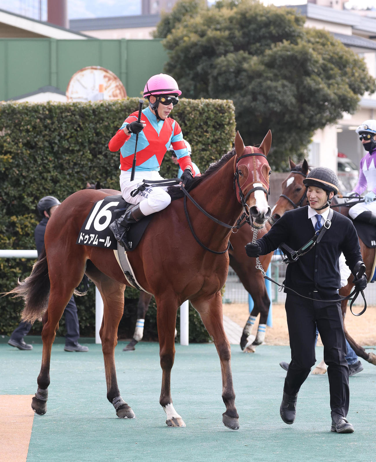 小倉9R、かささぎ賞を制したドゥアムール（撮影・白石智彦）