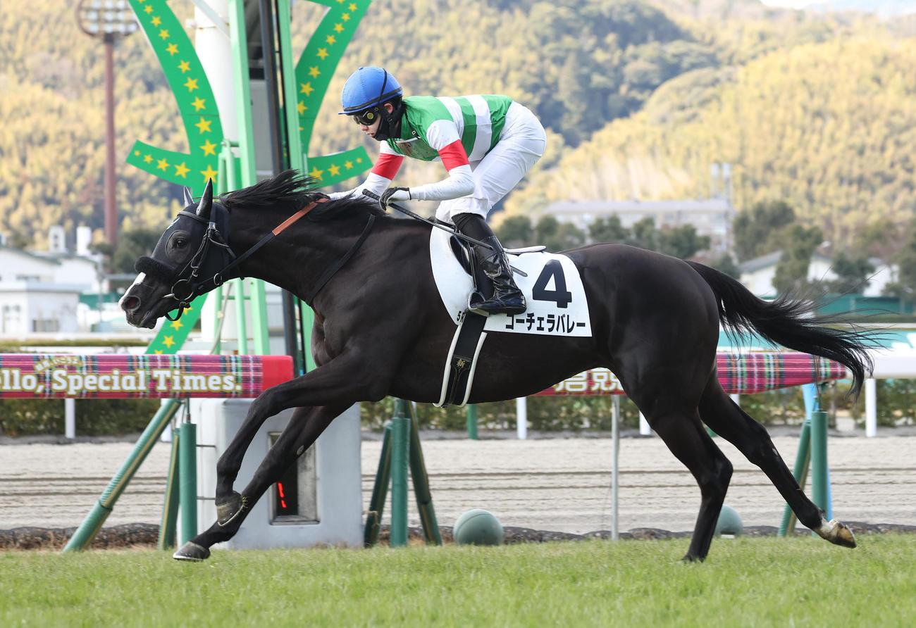 小倉5R、直線鋭く伸びて新馬戦を制したコーチェラバレー（撮影・白石智彦）