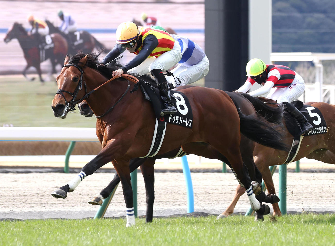 小倉11R、直線抜け出して小倉日経賞を制したドゥラドーレス（撮影・白石智彦）