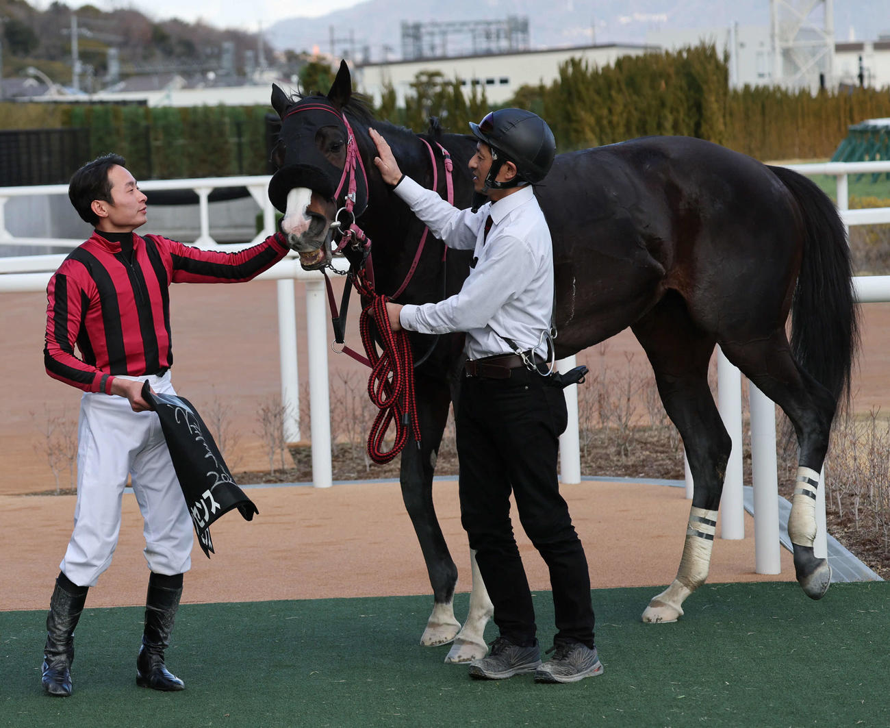アルデバランSを制したブライアンセンスをなでる岩田望騎手（撮影・西尾就之）