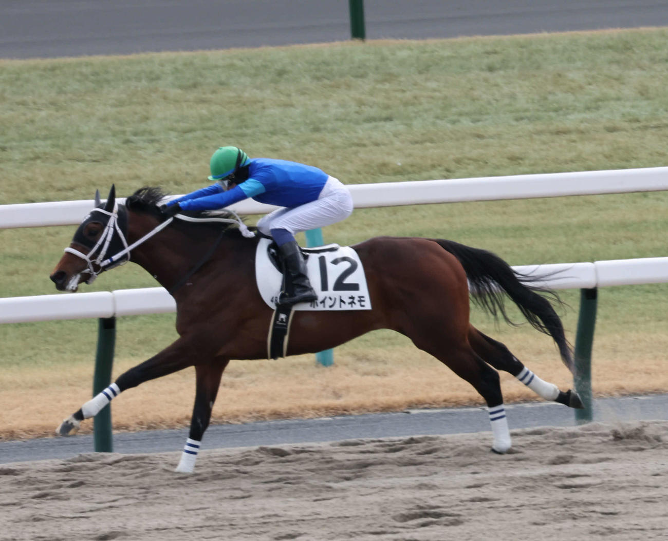 坂井騎手のポイントネモは後続を抑え、3歳新馬戦を制した（撮影・西尾就之）