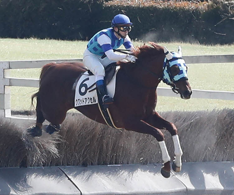 障害レースの鈴木慶太騎手（2018年2月17日撮影）