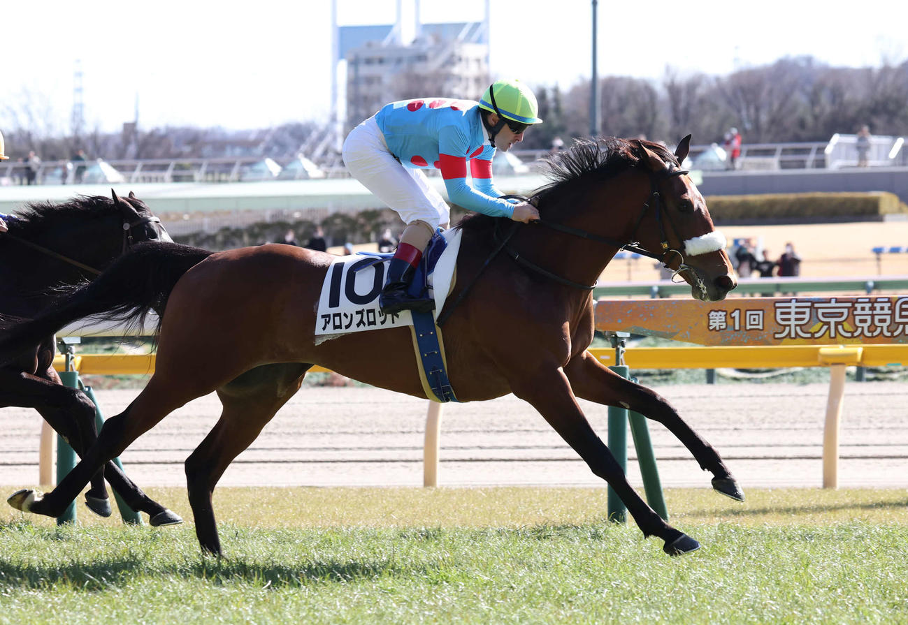 3歳未勝利戦を制したアロンズロッドとルメール騎手（2025年2月8日撮影）