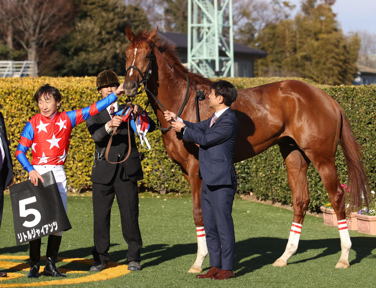 若竹賞を制したリトルジャイアンツと横山典騎手（2025年1月26日撮影）