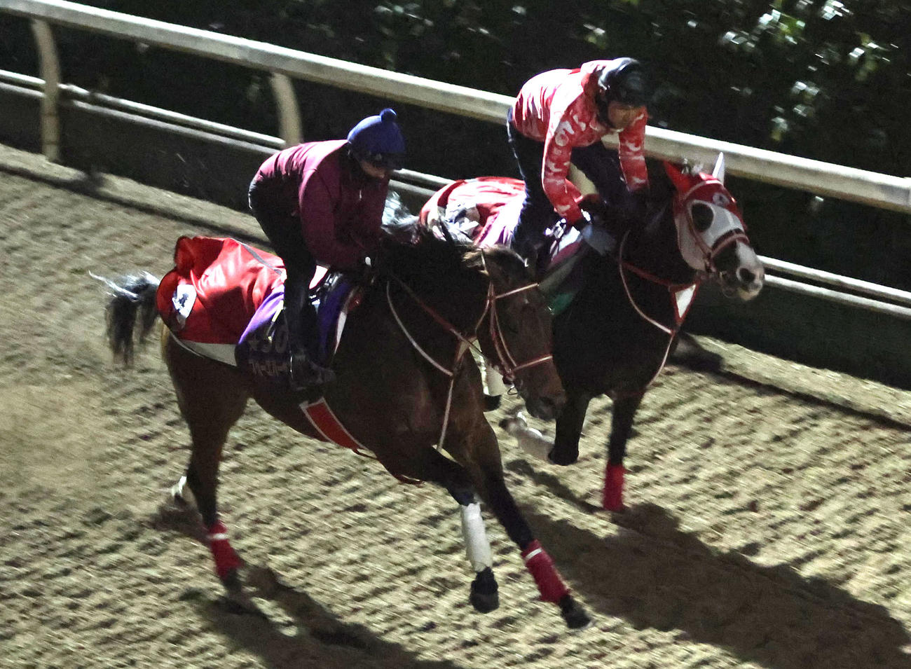 坂井騎手を背に坂路をミストレス（右）と併せ馬で追い切るフォーエバーヤング（撮影・白石智彦）