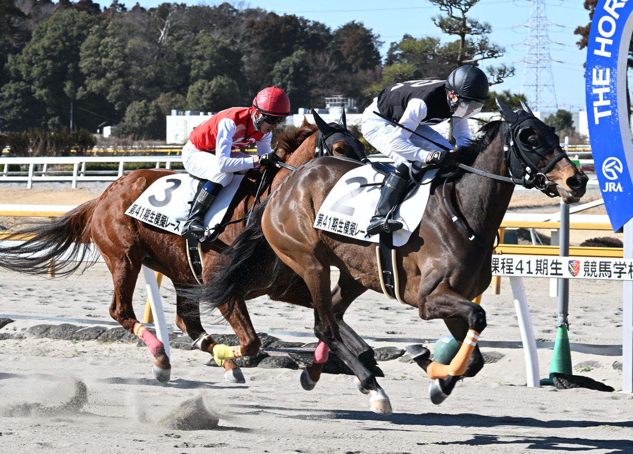 競馬学校騎手課程41期生卒業式の模擬レースで1着でゴールするメイオリビアと遠藤汰月。左は2着のダテノイグナイトと和田陽希（撮影・千葉一成）