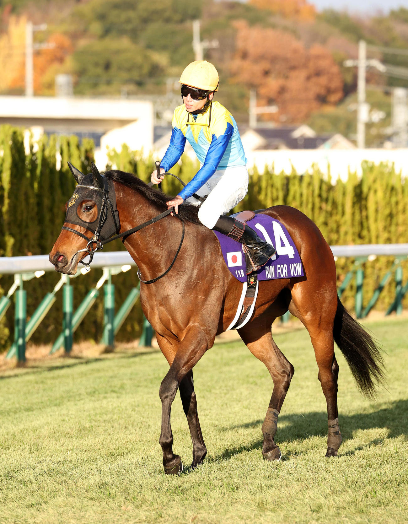 阪神JF、11着に敗れたランフォーヴァウ（2024年12月8日撮影）