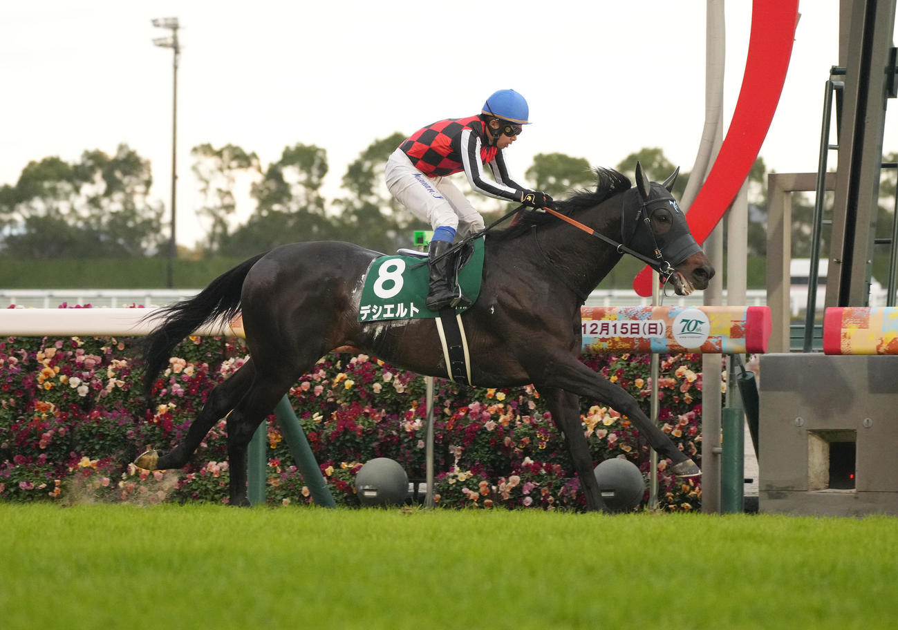 中日新聞杯で重賞初制覇を果たしたデシエルト（2024年12月7日撮影）
