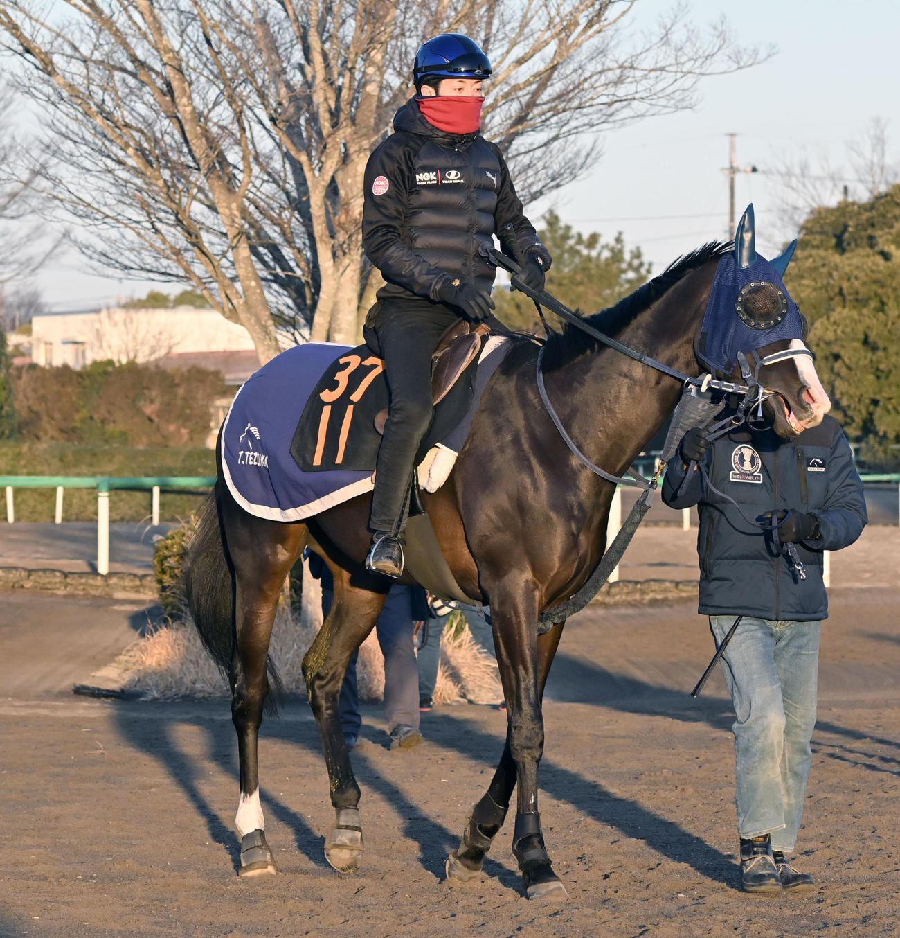 津村明秀騎手を背に、馬場に向かうマスカレードボール（撮影・千葉一成）