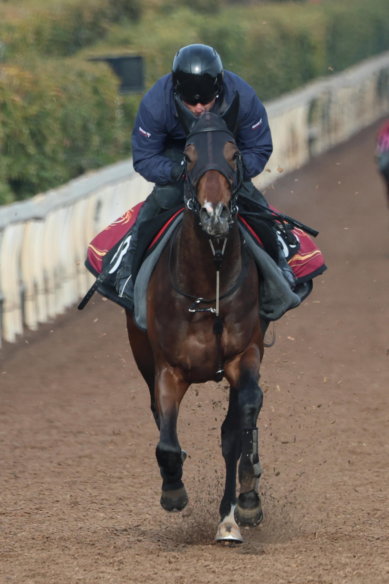 坂路を馬ナリで駆け上がるネブラディスク