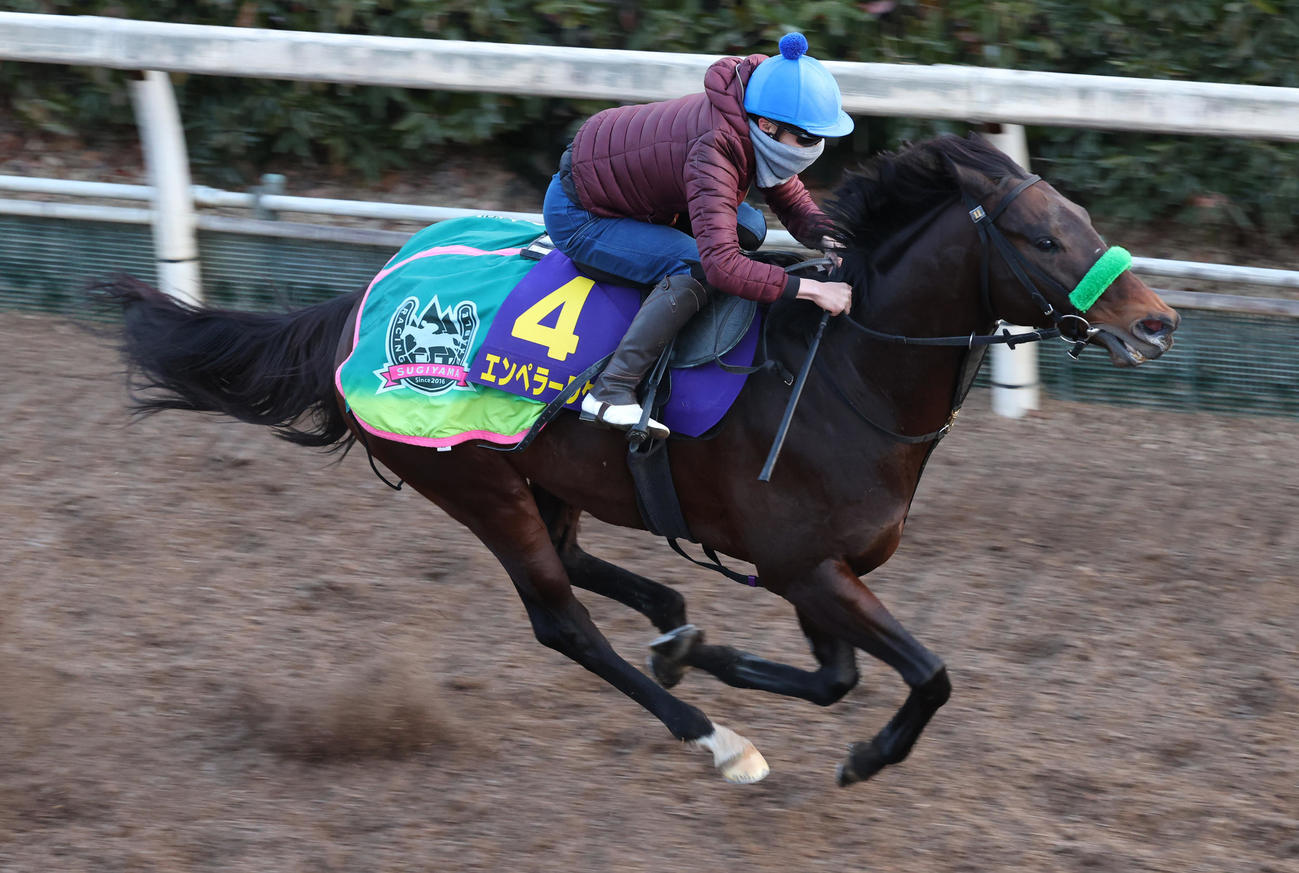 横山武騎手を背に坂路にて併せ馬で追い切るエンペラーワケア
