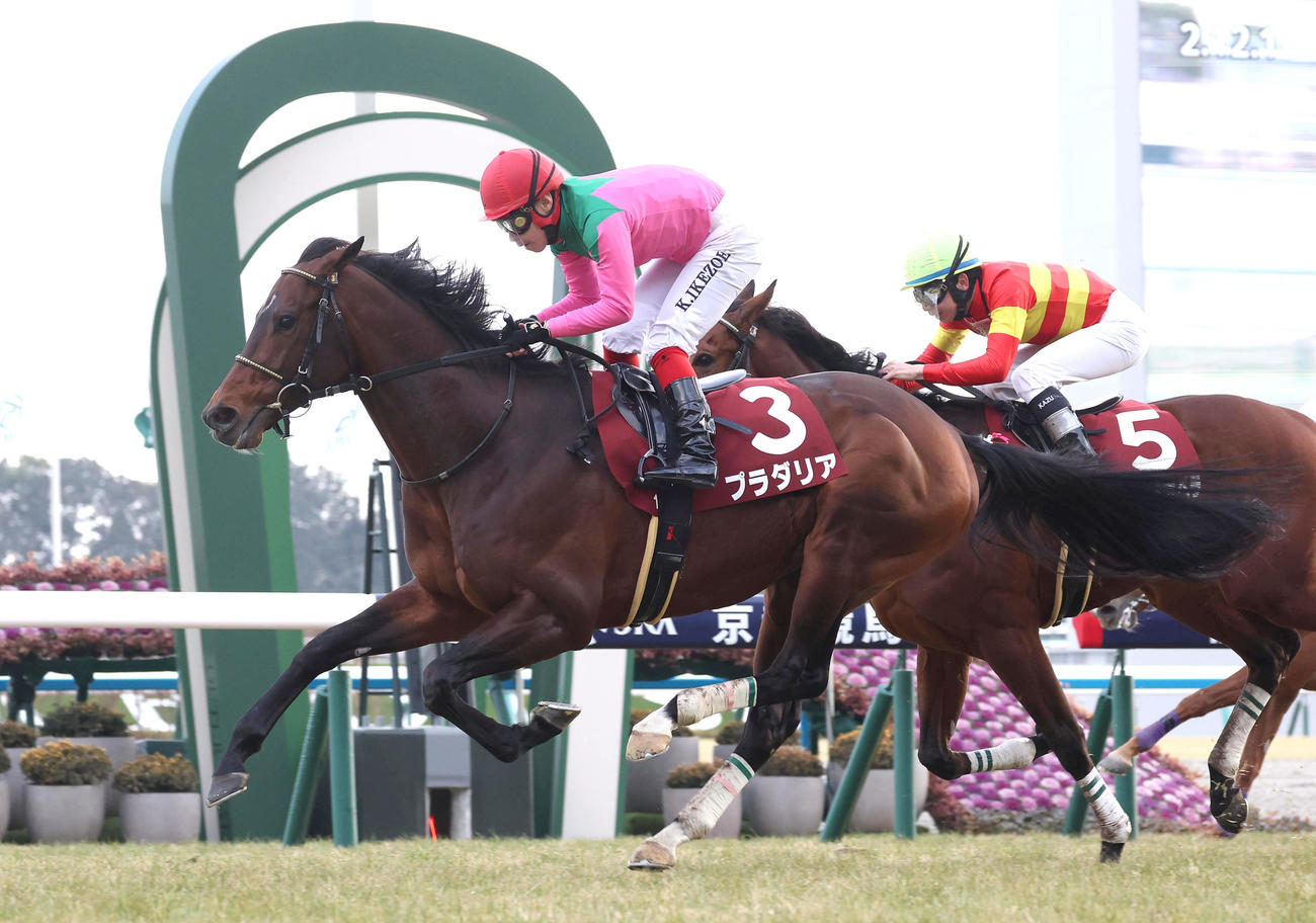 24年2月、京都記念を制したプラダリア