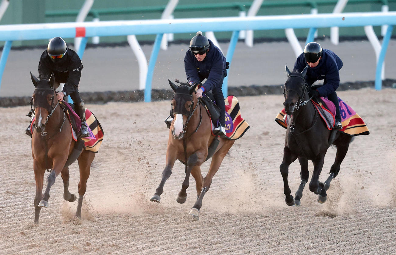 美浦ウッドを3頭併せて追い切るチェルヴィニア（中央）（撮影・千葉一成）