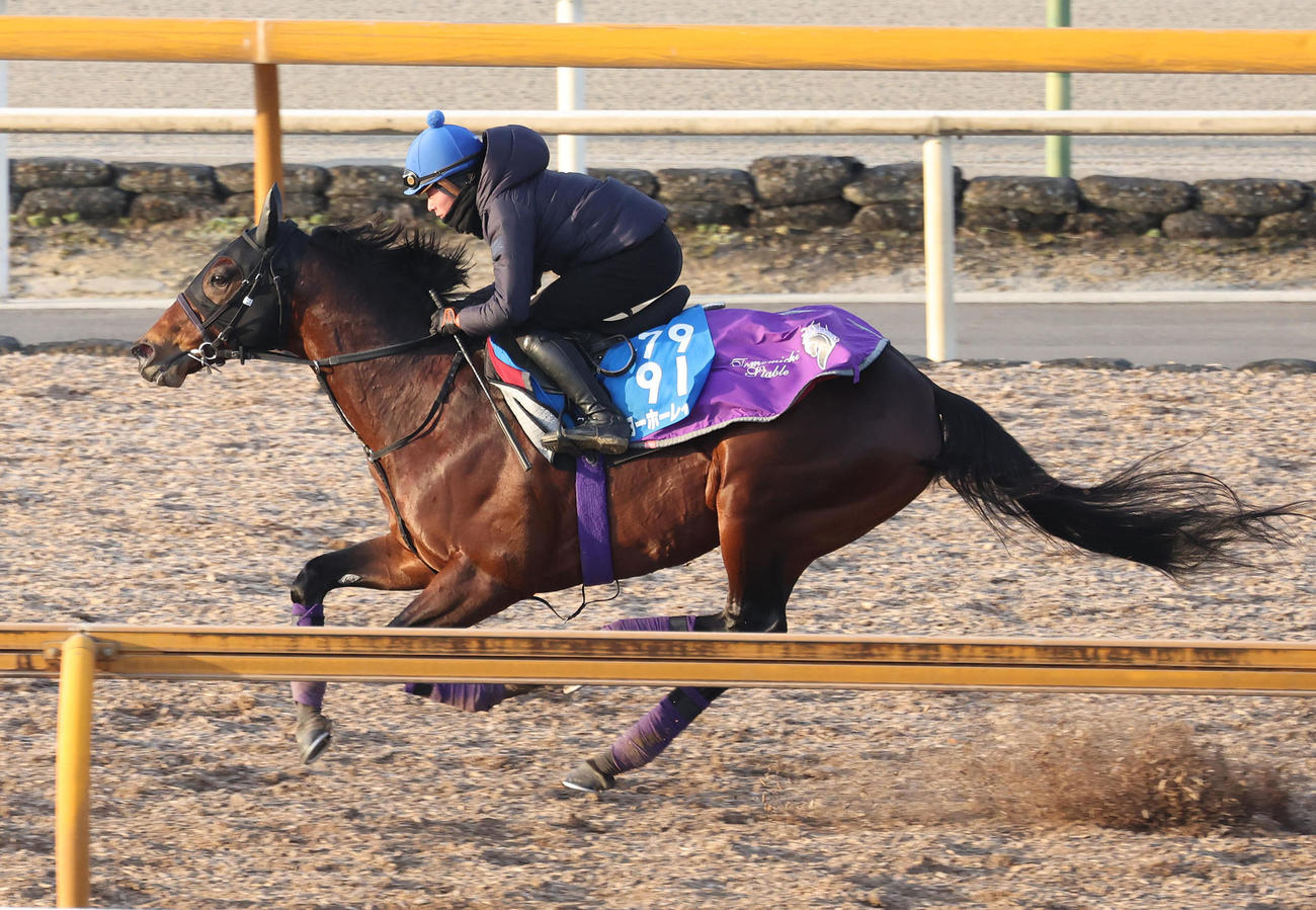 岩田望騎手を背にCウッドを単走で追い切るヨーホーレイク（撮影・白石智彦）