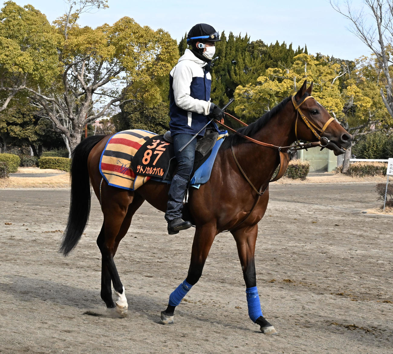 12日、馬場に向かうサトノカルナバル