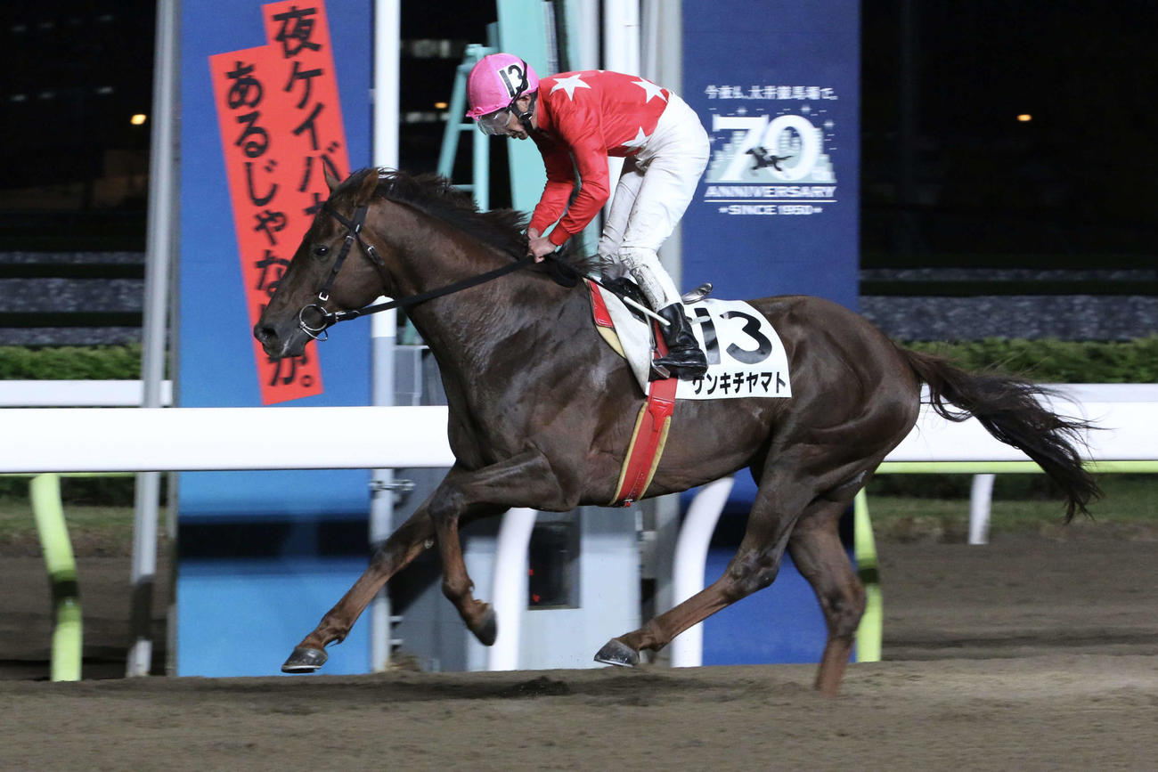 20年4月、大井7Rをゲンキチヤマトで勝利した的場文男騎手は地方、中央、海外を合わせて通算7300勝を達成