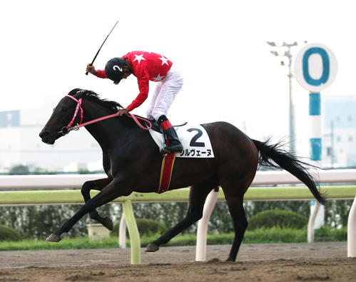 7000勝達成バナー 的場文男 TCK （的場 文男騎手 地方競馬通算 7,000 